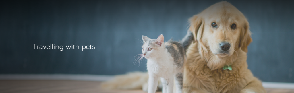 qatar airways pet policy, pet policy qatar airways, qatar airways pet policy cabin dogs, qatar airways international pet policy, qatar airways pet in cabin policy, qatar airways pet policy cats