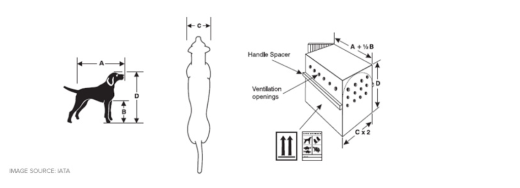 singapore airlines pet policy, singapore airlines pet in cabin policy, singapore airlines flying with pets, singapore airlines pet cargo, singapore airlines pet cargo cost