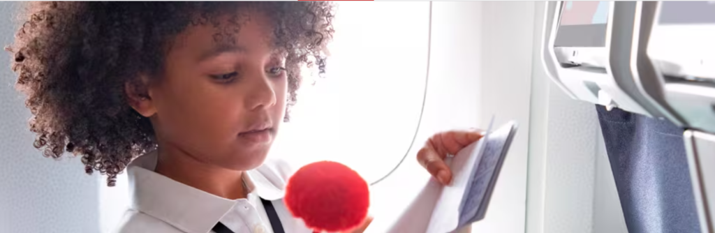 Air France unaccompanied minor, unaccompanied minors Air France, Air France unaccompanied minor form, Air France unaccompanied minor fee, Air France unaccompanied minor form pdf, Air France unaccompanied minor flights