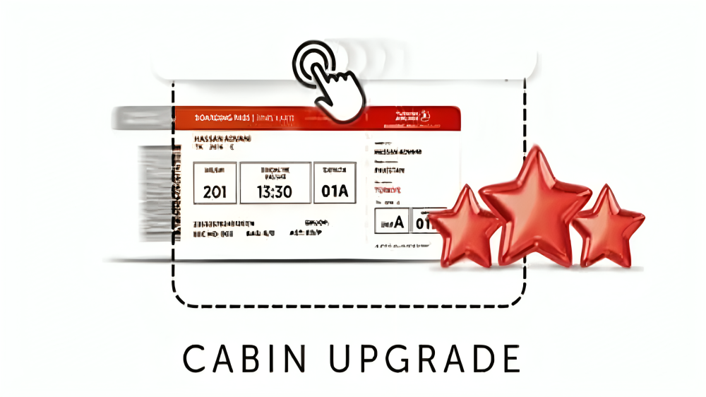 Turkish Airlines Business Class